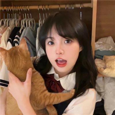 多龙芝