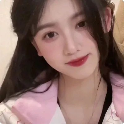 蝙蝠侠：神秘的女蝙蝠侠